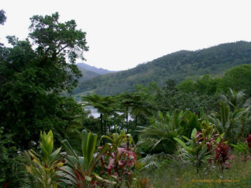 kone tiwaka